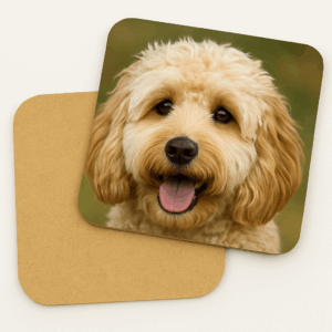 Coaster